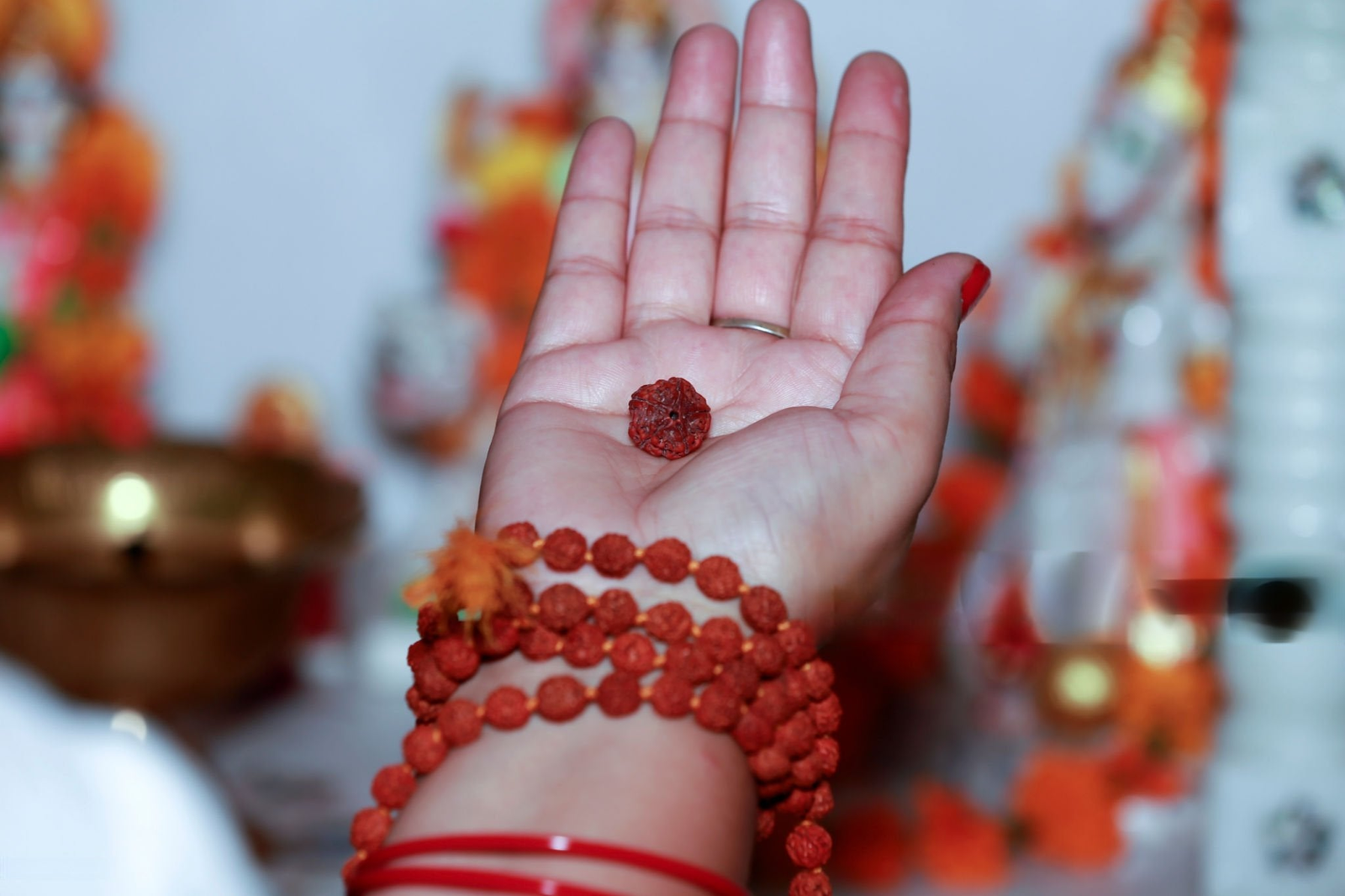 Ready to buy certified Rudraksha online?